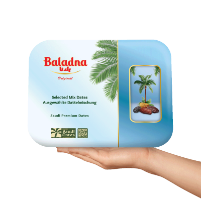 Baladna Mix Dates 15 pieces Gift Case - Oriental